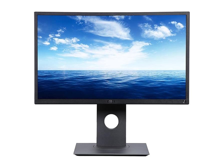 P2217H 21.5インチ　モニター Amazon.com: Dell Professional P2217H 21.5